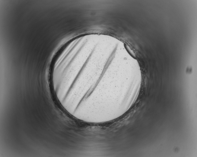 X0000102340244200808291144