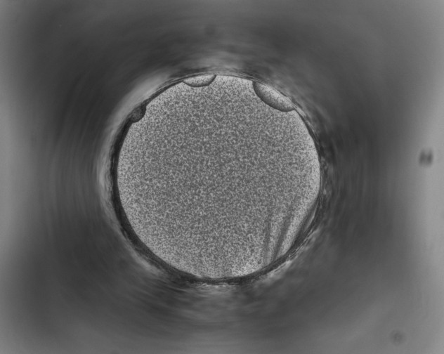 X0000102340245200808291144