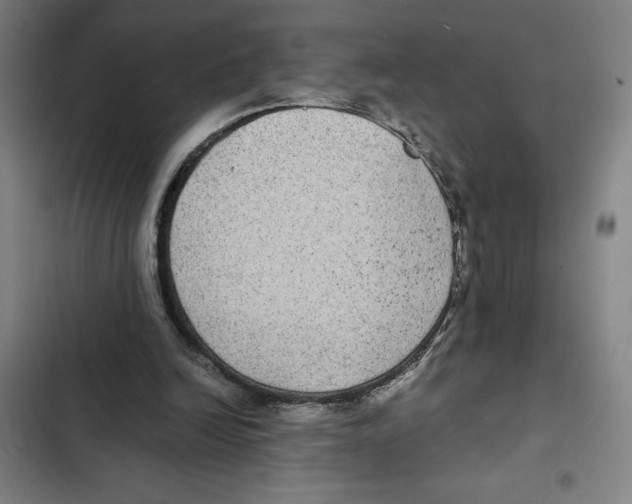 X0000102340246200808291144