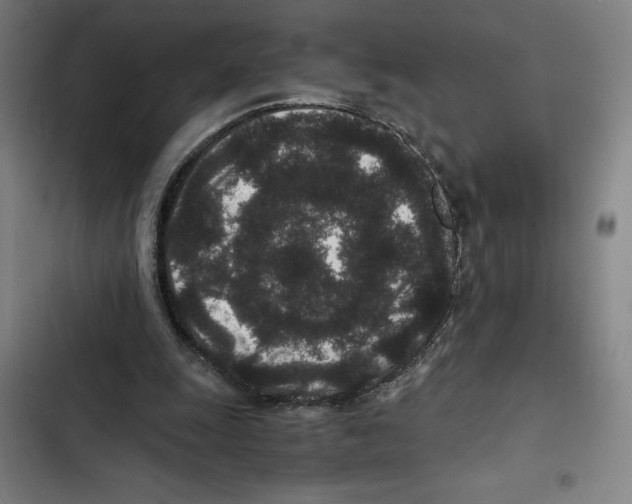 X0000102340247200808291144