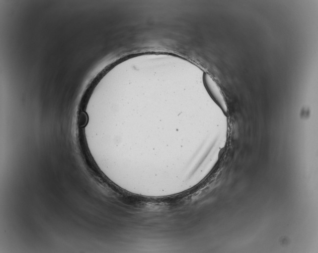 X0000102340248200808291144
