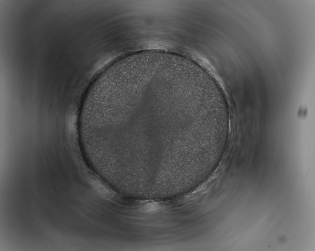 X0000102340249200808291144