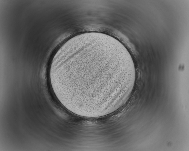 X0000102340250200808291144