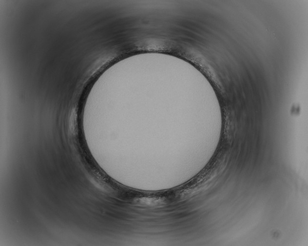 X0000102340251200808291144