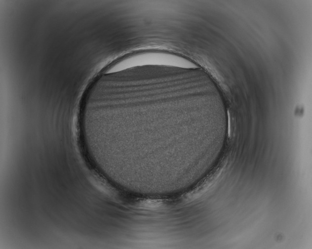 X0000102340252200808291144