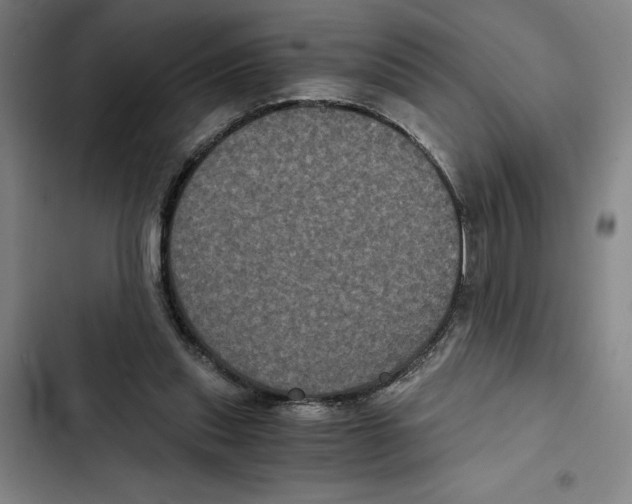 X0000102340253200808291144