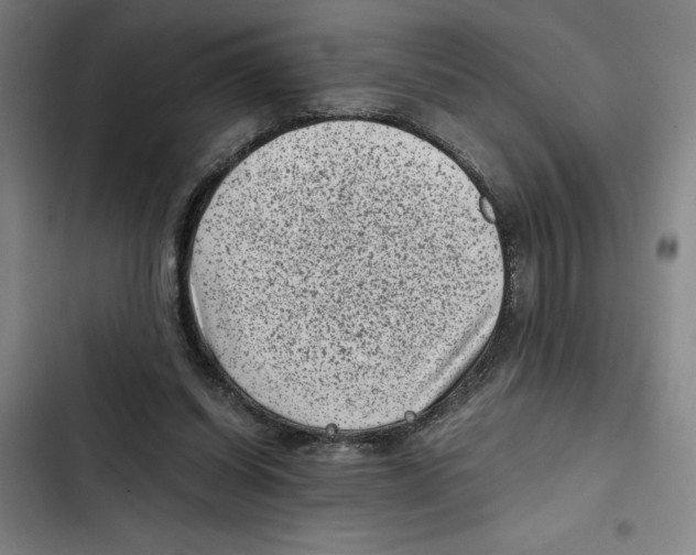 X0000102340254200808291144