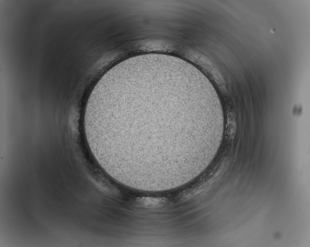X0000102340255200808291144
