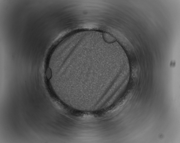 X0000102340256200808291144