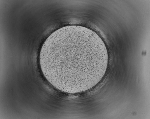 X0000102340257200808291144