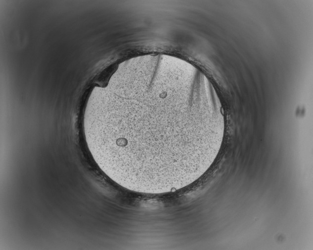 X0000102340258200808291144