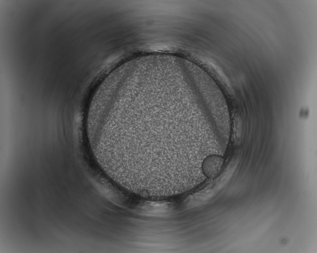 X0000102340260200808291144