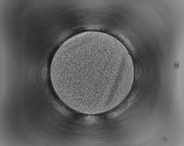 X0000102340261200808291144
