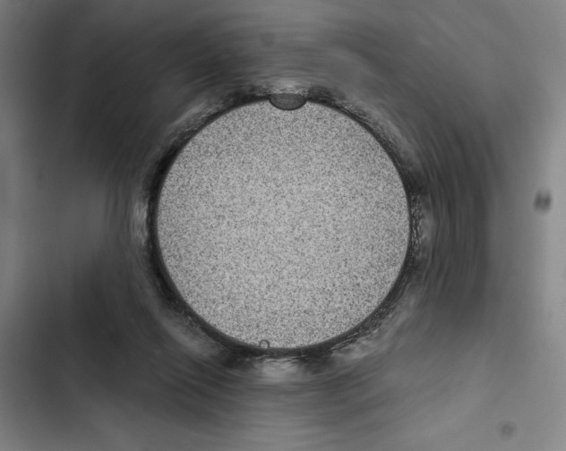 X0000102340262200808291144