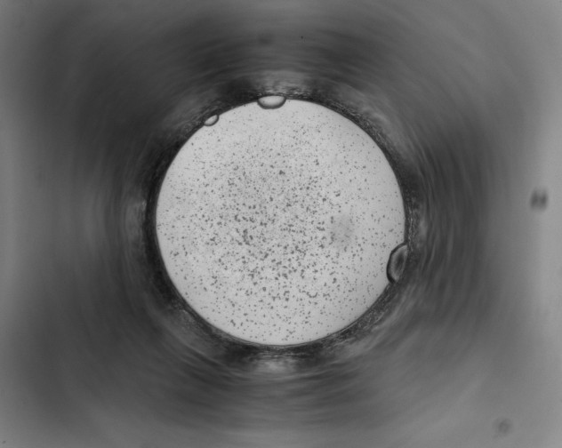 X0000102340263200808291144
