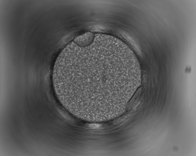 X0000102340265200808291144