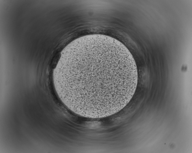 X0000102340266200808291144