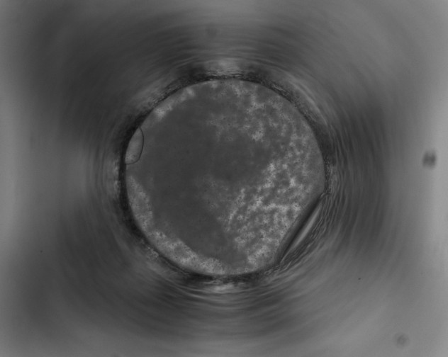 X0000102340267200808291144
