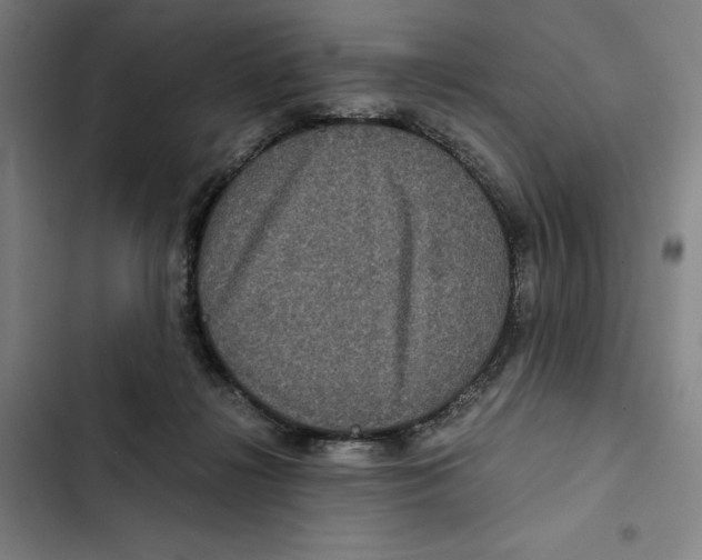 X0000102340268200808291144