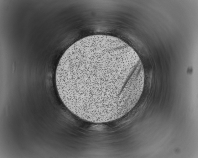 X0000102340269200808291144