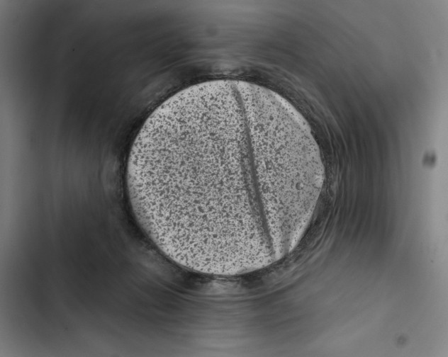 X0000102340270200808291144