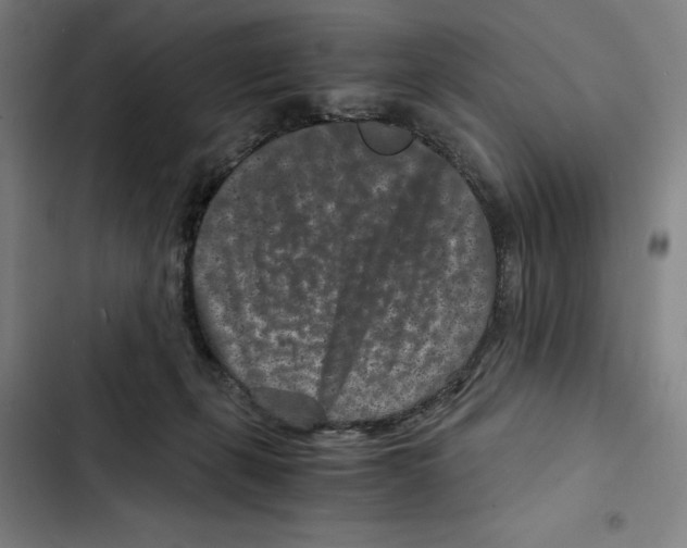 X0000102340271200808291144