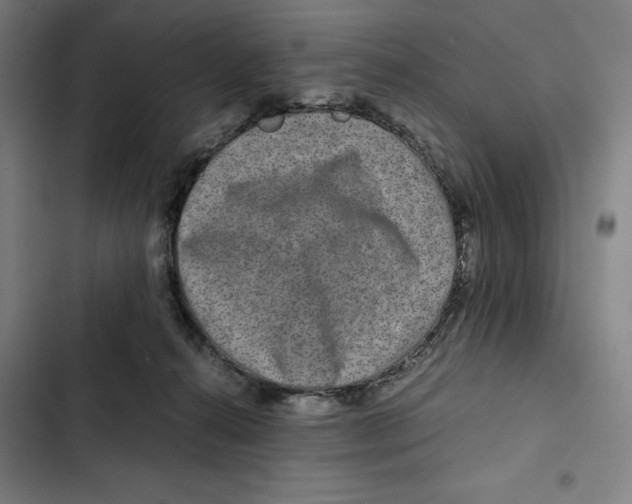 X0000102340272200808291144
