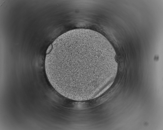 X0000102340273200808291144