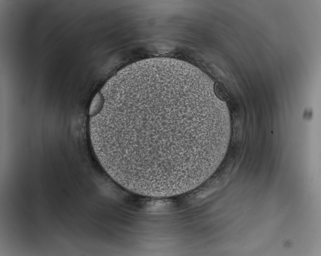 X0000102340274200808291144