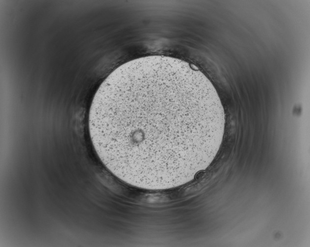 X0000102340275200808291144