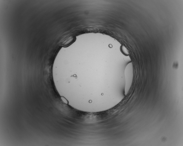 X0000102340276200808291144