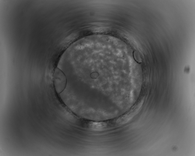 X0000102340277200808291144