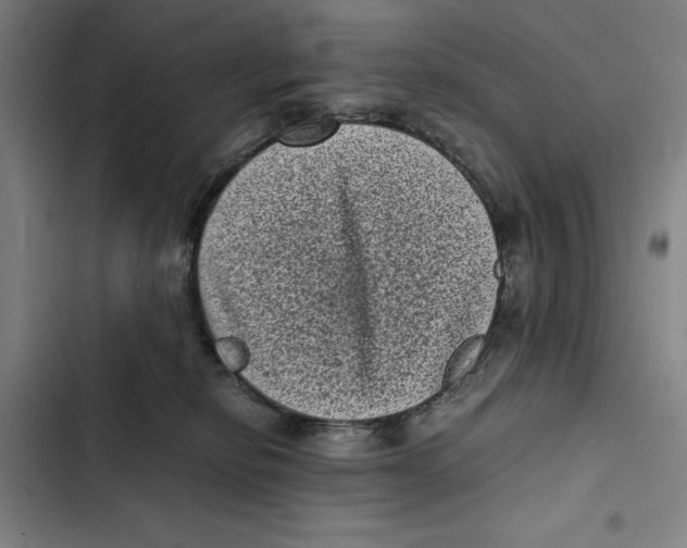 X0000102340278200808291144