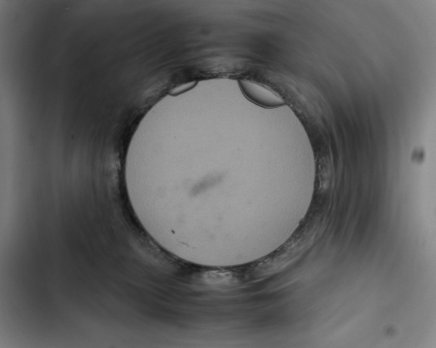 X0000102340279200808291145