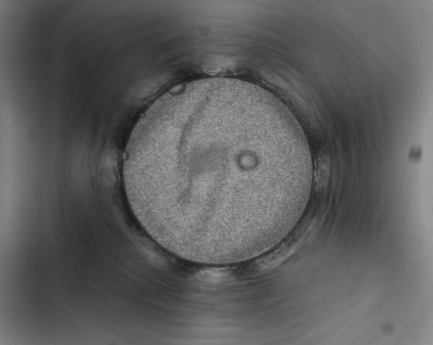 X0000102340280200808291145
