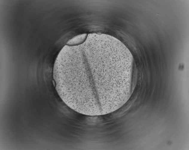 X0000102340281200808291145