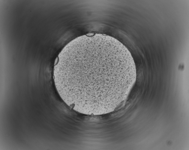 X0000102340282200808291145