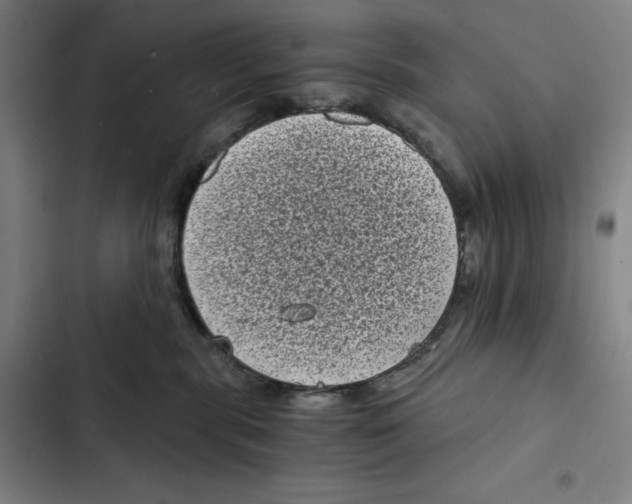 X0000102340283200808291145