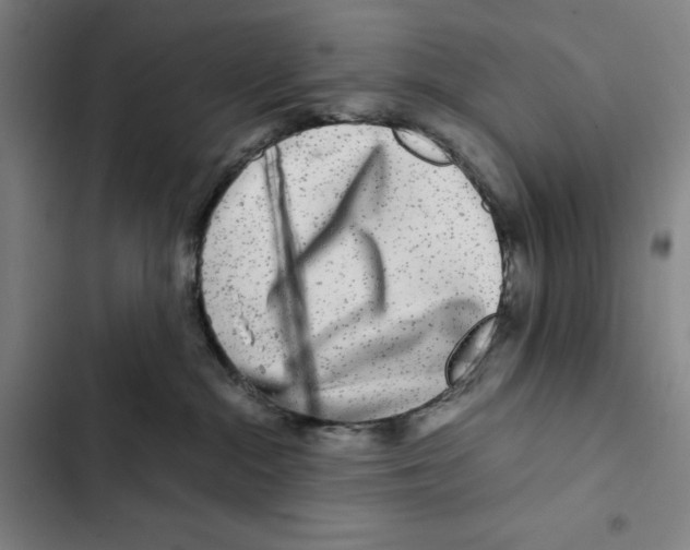 X0000102340284200808291145