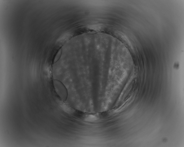 X0000102340285200808291145