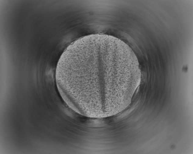 X0000102340286200808291145