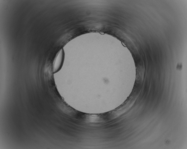 X0000102340287200808291145