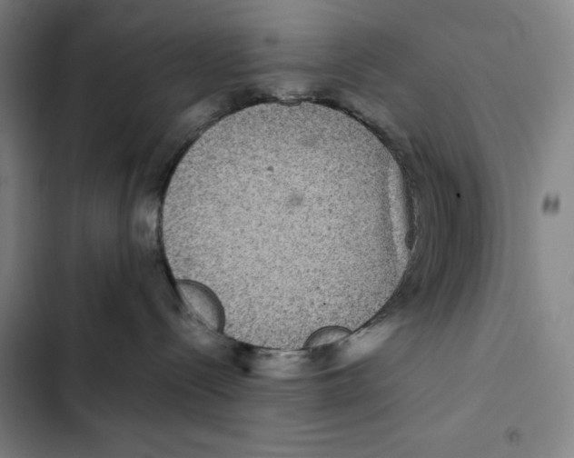 X0000102340288200808291145