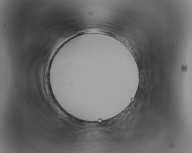 X0000102340289200808291144