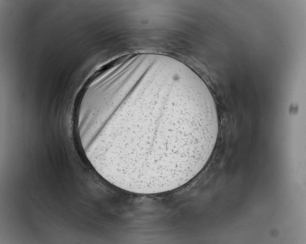 X0000102340290200808291144