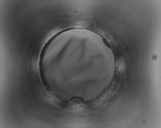 X0000102340292200808291144