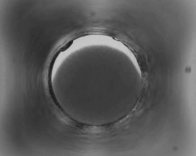 X0000102340293200808291144
