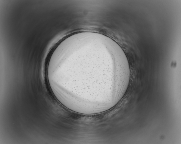 X0000102340294200808291144