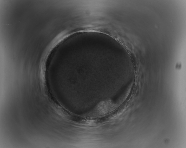 X0000102340295200808291144