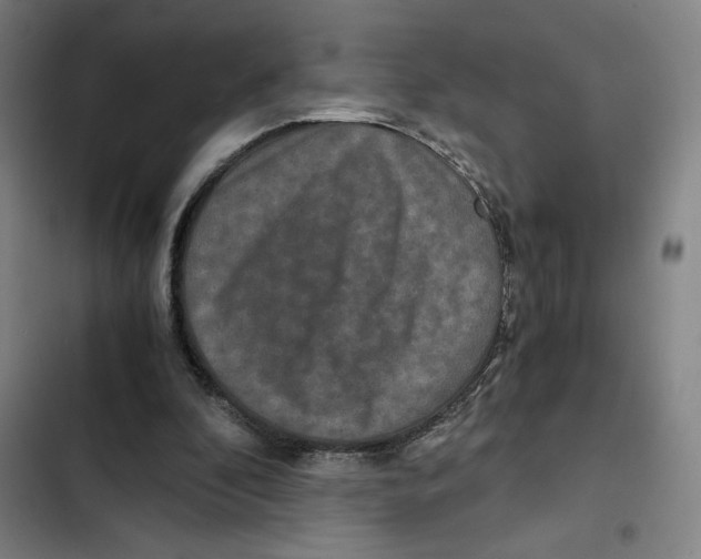 X0000102340296200808291144
